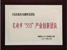 蕪湖市“555”產(chǎn)業(yè)創(chuàng)新團(tuán)隊(duì)