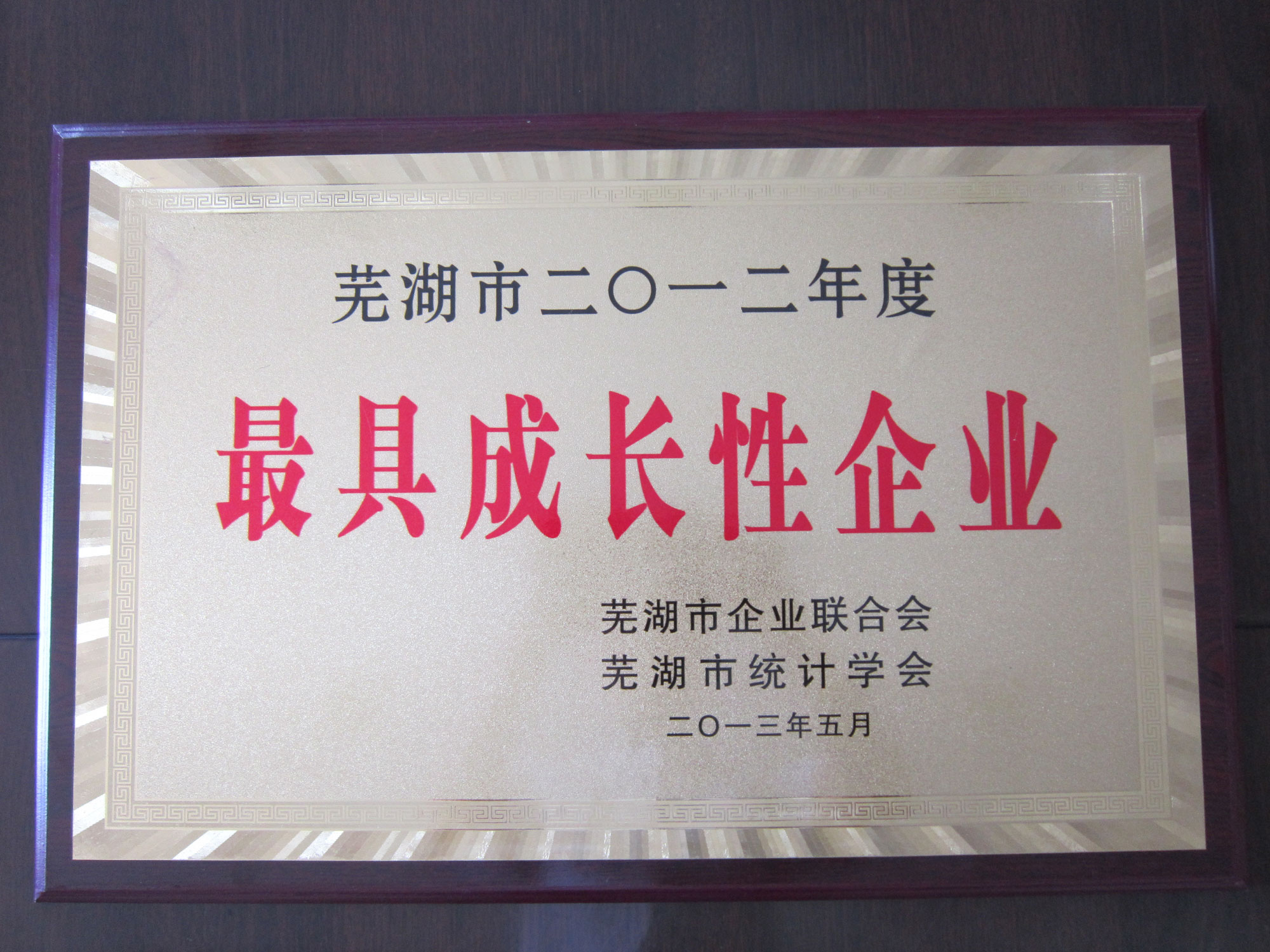 蕪湖市最具成長性企業(yè)